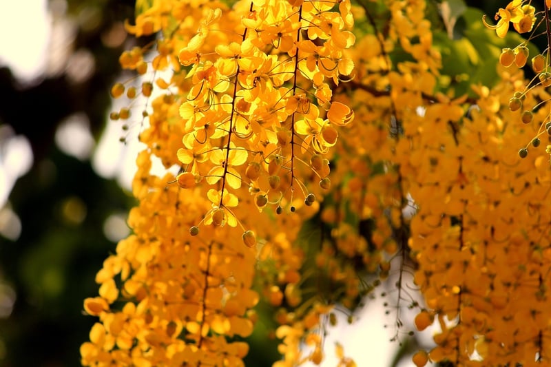 Vertical Plant Holders